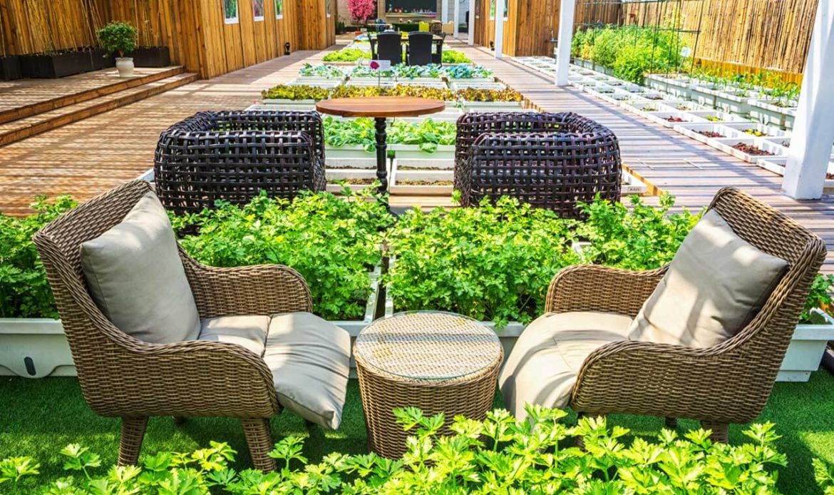 Look On An Important Steps Need For Plants